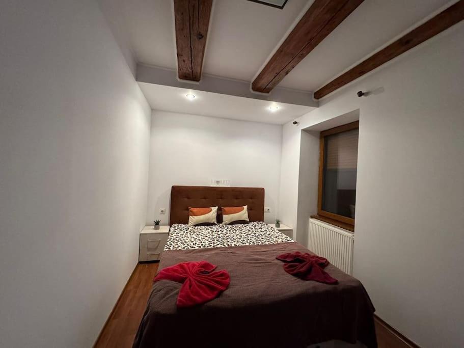 בראשוב Iazi Apartament מראה חיצוני תמונה